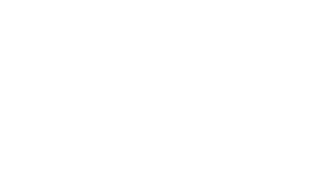 Exact Logo